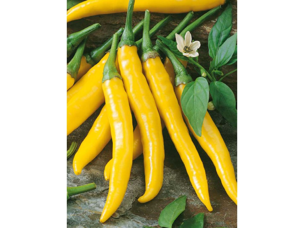 Kristián Chilli Paprika
