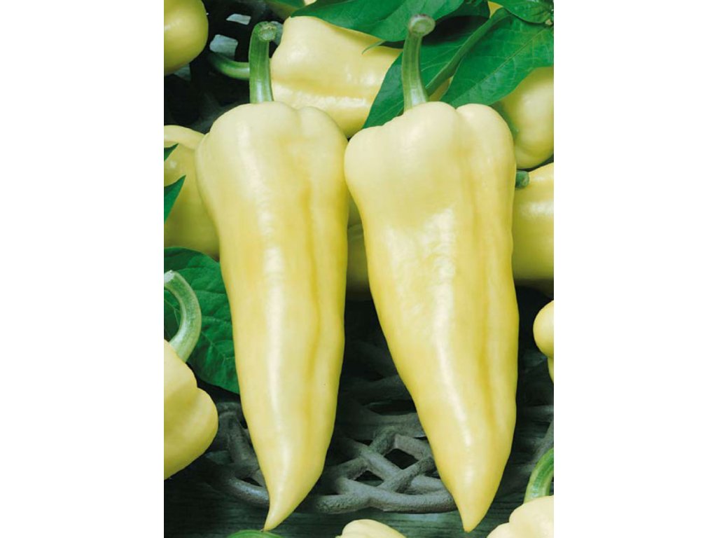 Paprika na rýchlenie PREMIUM