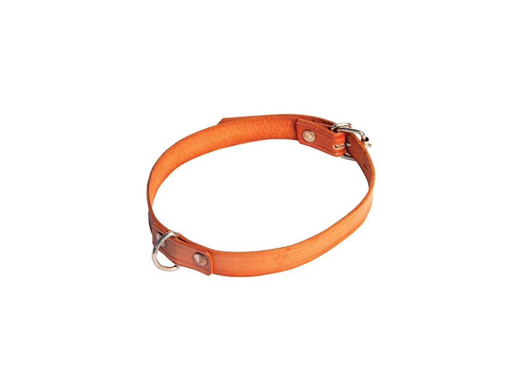 COBBYS PET Obojok  z pravej kože 45cm/15mm prírodná hnedá