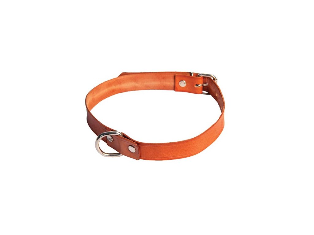 COBBYS PET Obojok  z pravej kože 50cm/20mm prírodná hnedá