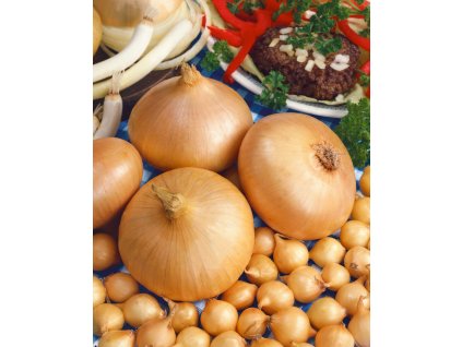 Štuttgartská Cibuľa sadzačka jarná žltá, 300 g