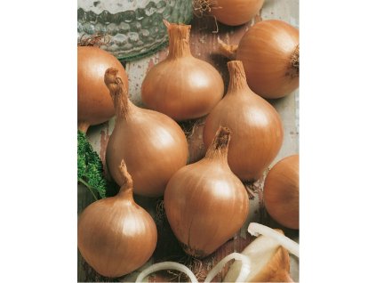Všetana Cibuľa sadzačka jarná žltá, 300 g