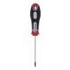 Šroubovák TORX T10X75