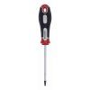 Šroubovák TORX T15X100