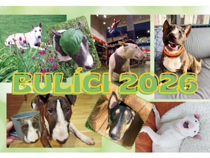 Bulíci 2026 titul