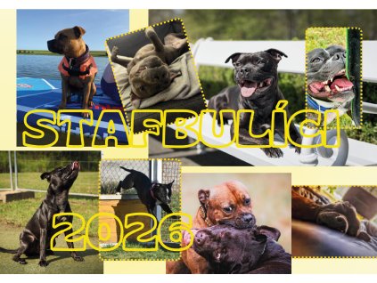 stafbulíci 2026 titul