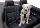 Bezpečnostní pás pro psy 50-70 cm