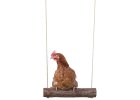 Bidýlko pro slepice - houpačka pro drůbež 39 x 5 cm