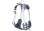 Postroj pro psa Fitty - sportovní Y-postroj pro psy 20 mm x 38 - 62 cm