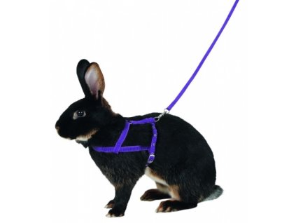 KERBL Postroj a vodítko pro králíka pro agility, L, 200 cm