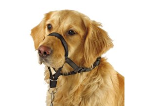 Ohlávka pro psy Kerbl, proti tahání, vel. 2