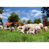 Síť pro elektrické ohradníky na ovce Ovinet 108 cm, 50 m, 1 hrot, oranžová