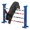 Agility vysoká překážka pro králíky a jiné hlodavce - králičí hop