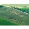 Síť pro elektrické ohradníky proti divoké zvěři Wildnet 90 cm, 50 m, 1 hrot, modrá