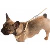 Postroj pro štěňata a malé psy Puppy, s vodítkem 30 - 50 cm
