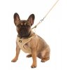 Postroj pro štěňata a malé psy Puppy, s vodítkem 30 - 50 cm