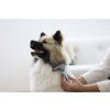 B032A911117