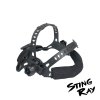 KWXStingrayZ HK kriz BL