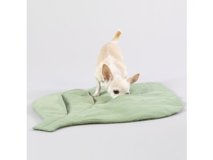 1055004 PAIKKA Leaf Playmat (1)