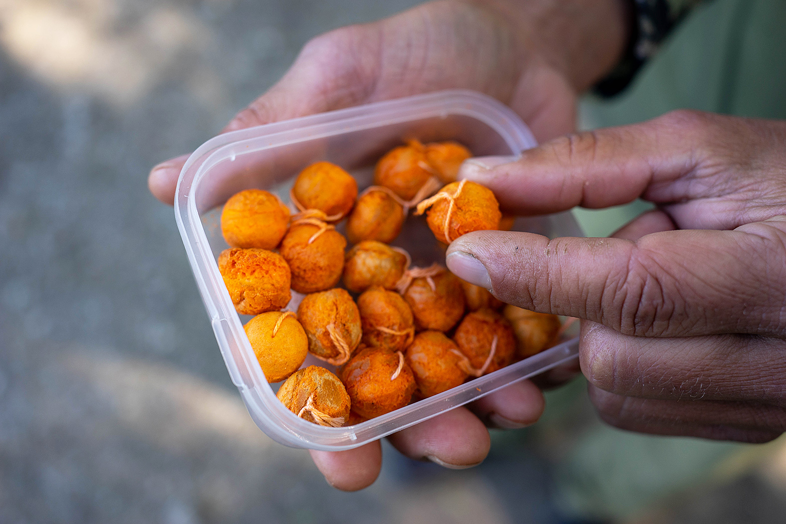 Rohlíkový boilies Maxi – SCOPEX