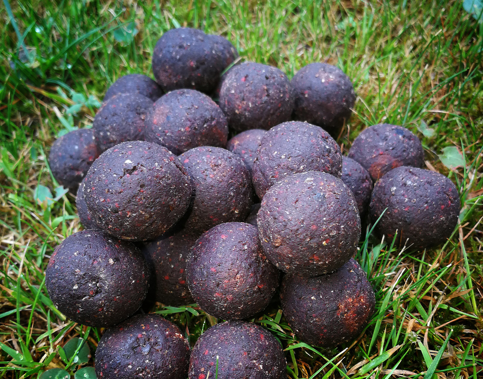 Boilies - Black Panther – Broskev, Černý pepř