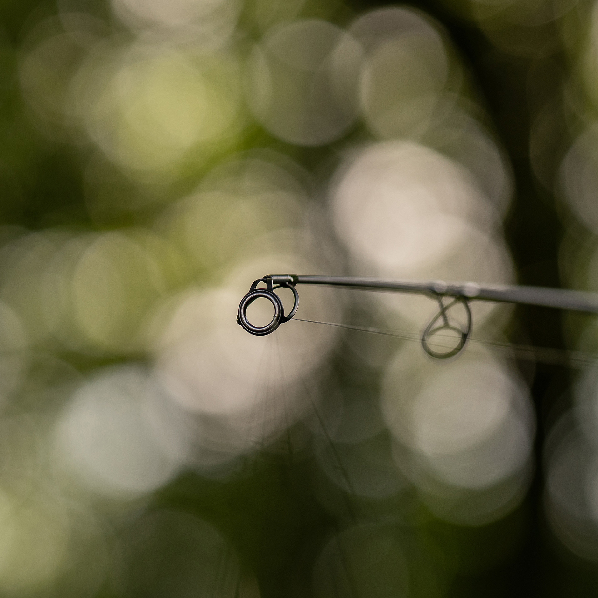 Avid Carp prut Elevate Rod 12ft 3.66m 3.75lb, 2 díl