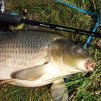 Pufiny 10 mm 20 g