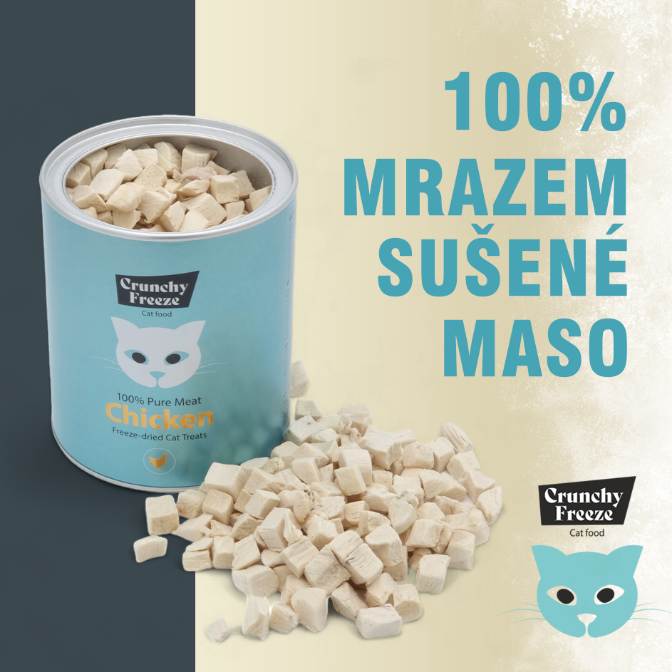 Proč vaše kočka neodolá mrazem sušeným pamlskům?