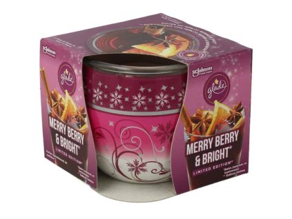 Snímek obrazovky 2025 11 08 174359