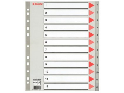 Plastový rozraďovač Esselte 1-12 maxi sivý