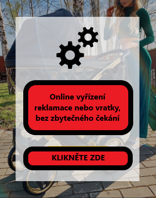 Servis