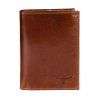 Pánská kožená peněženka Buffalo Wild D1072-VTU hnědá