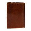 Pánská kožená peněženka Buffalo Wild D1072-VTU hnědá