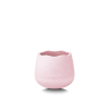 Stapelstein Dynamic Base rose