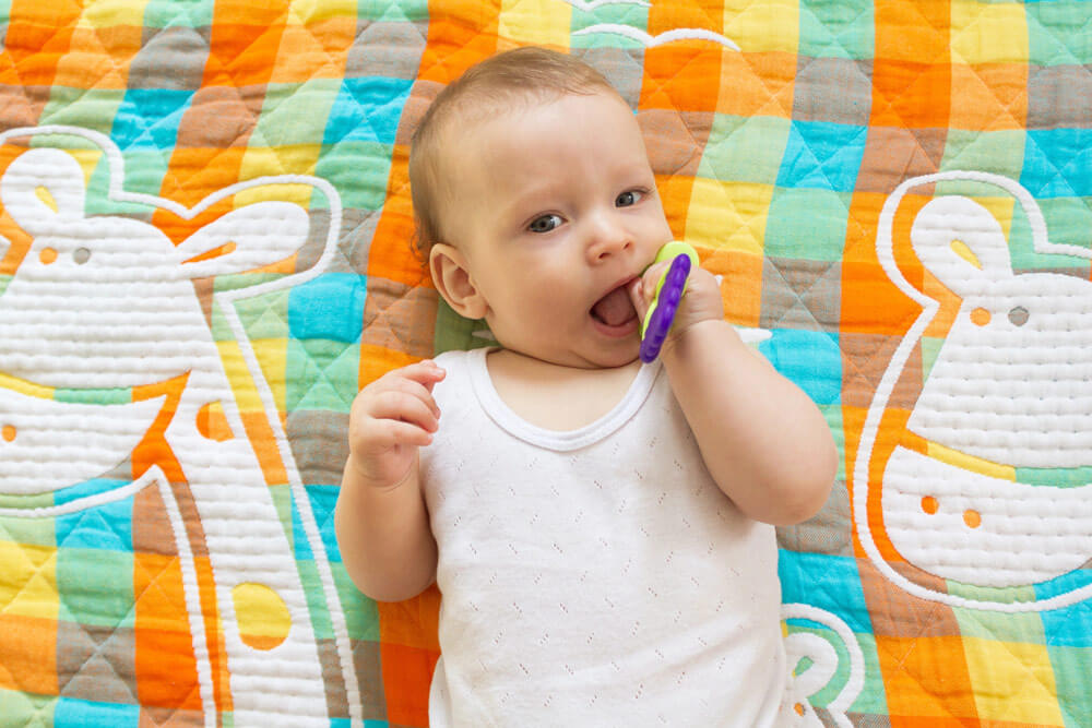 Ako vybrať hryzátko