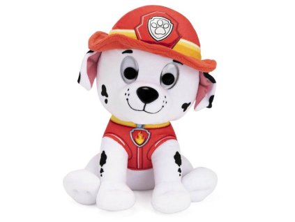Marshall Paw patrol