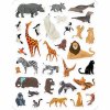 Hra so silikónovými samolepkami ZOO samolepky