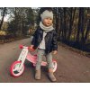 Detské multifunkčné odrážadlo bicykel 2v1 Milly Mally JAKE Classic Mint