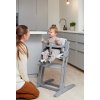 2638 20 BabyDan Danchair grey rostoucí židlička Babydan šedá, vložka se dokupuje samostatně