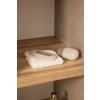 32586 10 sada na starostlivost luma almond