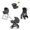 Kočík Inglesina Aptica Darwin Recline Evo 4v1 2026 Marble Grey