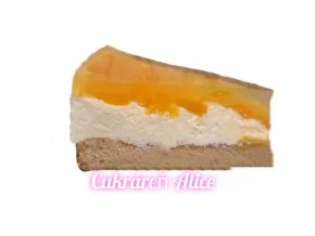 Polish 20230205 105624257[1]