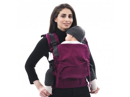 Ergonomické rostoucí nosítko Fidella Fusion TODDLER SIZE 2.0 - Chevron Berry