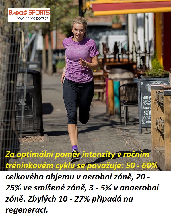 	Poměr intenzity v ročním tréninkové cyklu 
