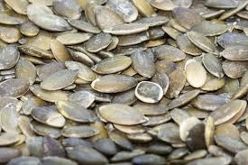 Dýňová semínka