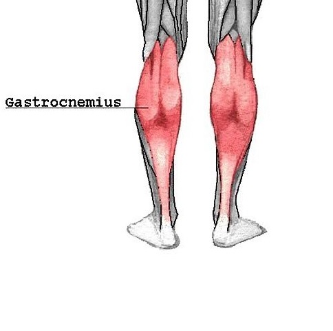 Co může u běžce způsobovat pocit těžkých lýtek?