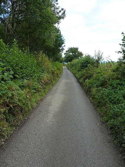 Jaký rozdílný přínos mají pro běžce výběhy svahů a výběhy schodů?