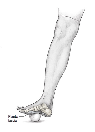 Ploska nohy - plantární fascie - odvalování míčku  