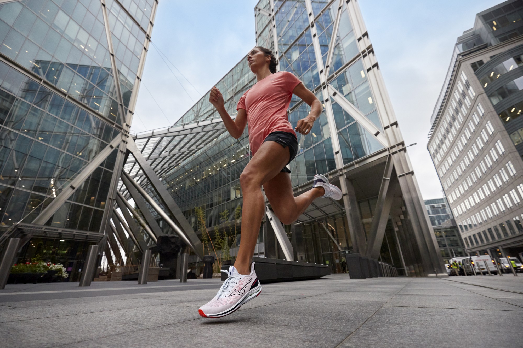 Dlouhodobá adaptace