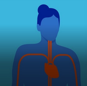 Krevní tlak a fyzická aktivita